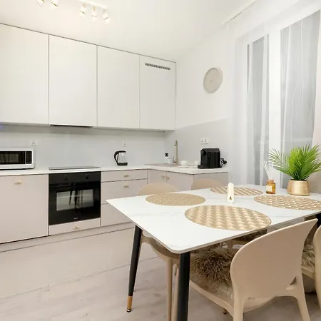 Lejlighed Spacious 2-bedroom By Renters Katowice