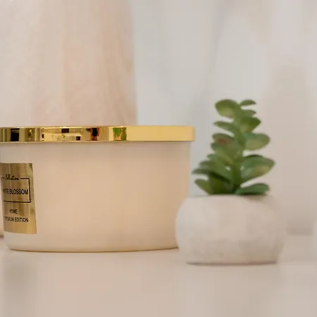 Lejlighed Spacious 2-bedroom By Renters Katowice