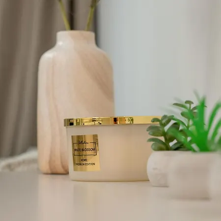 Spacious 2-bedroom By Renters カトヴィツェ