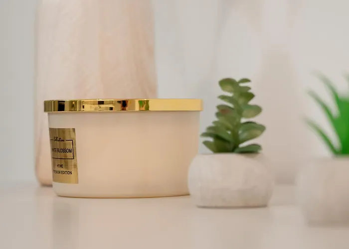 Lägenhet Spacious 2-bedroom By Renters Katowice